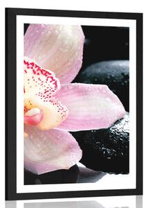 Poszter paszportuval exotikus orchidea
