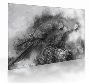 Üveg kép - Akvarell papagájok (70x50 cm)