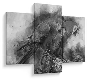 Kép - Akvarell papagájok (90x60 cm)