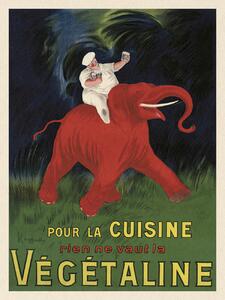 Festmény reprodukció Végétaline (Vintage Ad Ft. Elephant) - Leonetto Cappiello, (30 x 40 cm)