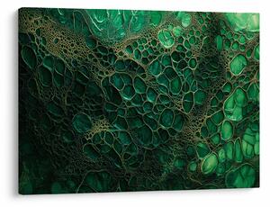 Kép - Zöld mikroszkópos kép (70x50 cm)
