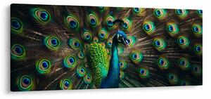 Kép – Pávatoll (120x50 cm)