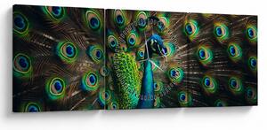 Kép – Pávatoll (órával) (90x30 cm)