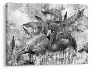 Kép - Flamingók graffiti (70x50 cm)
