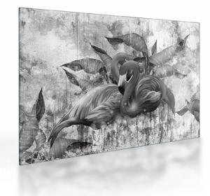 Üveg kép - Flamingók graffiti (70x50 cm)
