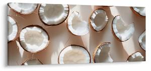 Kép - Kókuszdiók (120x50 cm)
