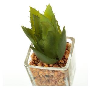 Műnövény szett 6 db-os (magasság 8 cm) Cactus – Casa Selección