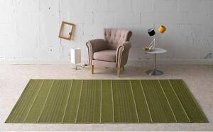 Sunshine zöld kültéri szőnyeg, 120 x 170 cm - Hanse Home