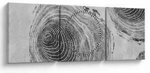 Kép - Fa motívum (órával) (90x30 cm)