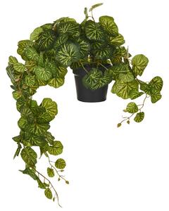 Műnövény függőcserépben STRAWBERRY BEGONIA 37 cm Zöld