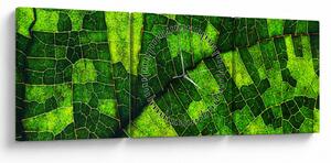 Kép - A lap részlete (órával) (90x30 cm)