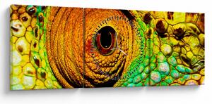 Kép - Kaméleon (órával) (90x30 cm)
