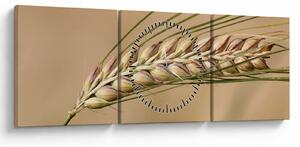 Kép - Búza (órával) (90x30 cm)