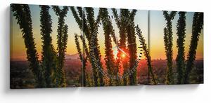Kép - Növények (órával) (90x30 cm)
