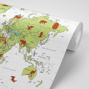 Öntapadó tapéta világtérkép állatokkal