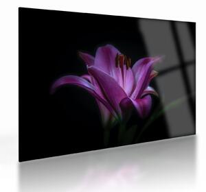 A liliom képe (üvegen) (70x50 cm)