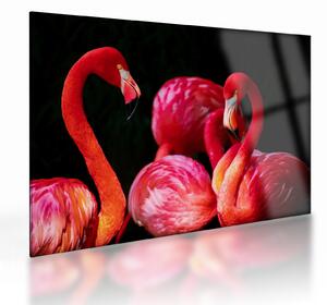 Vörös flamingók képe (üvegen) (70x50 cm)