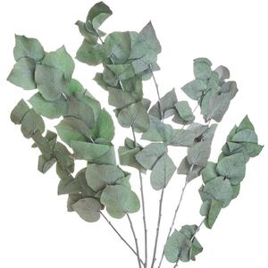 FLOWER MARKET szárított eukaliptusz, zöld 60cm