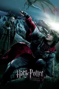 Művészi plakát Harry Potter - A Tűz Serlege - Harry, (26.7 x 40 cm)