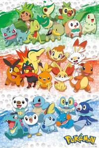 Plakát Pokemon - First Partners, (61 x 91.5 cm)