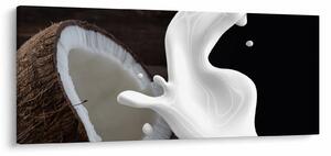 Kép - kókusz tej (120x50 cm)