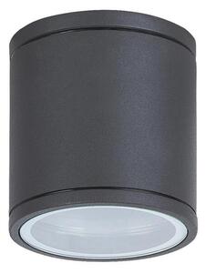 Rabalux Rabalux 8150 - Kültéri mennyezeti lámpa AKRON 1xGU10/35W/230V IP54 RL8150