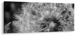 Kép - pitypang pehely (120x50 cm)