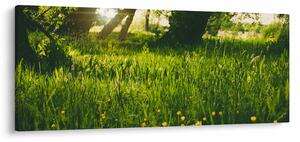 Tájkép - rét (120x50 cm)