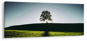 Természet kép - fa (120x50 cm)