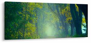 Fákkal szegélyezett út képe (120x50 cm)
