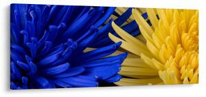 Kép - virág részlet (120x50 cm)