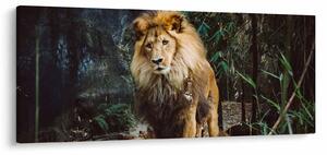Oroszlán a vadonban (120x50 cm)