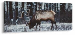 Kép - szarvas télen (120x50 cm)