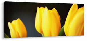 Tulipán képe (120x50 cm)