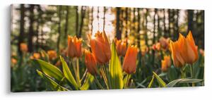 Kép - tulipánok (120x50 cm)