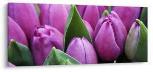 Kép - tulipánok (120x50 cm)