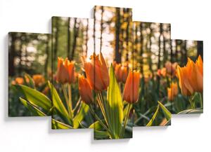 Kép - tulipánok (150x105 cm)