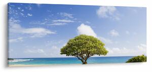 Fa a tengerparton (120x50 cm)