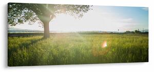 Nyári rét képe (120x50 cm)