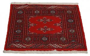 Pakisztáni szőnyeg bordó pillangó 61x63 kézi gyapjú szőnyeg