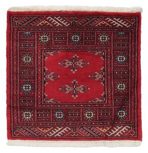 Pakisztáni szőnyeg pillangó 61x63 kézi gyapjú szőnyeg