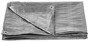 Plachta Tarpaulin Strong 2x3 m, 100 g/m, takaró, ezüst, szemekkel