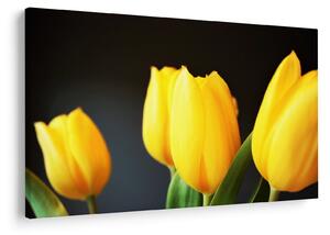 Tulipán képe (90x60 cm)