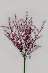 Rózsaszín mű seprűzanót (cytisus) 45cm