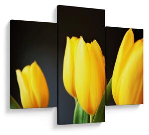 Tulipán képe (90x60 cm)