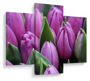 Kép - tulipánok (90x60 cm)