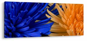 Részletes virágkép (120x50 cm)