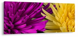 Kép - virág részlet (120x50 cm)