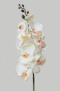 Fehér mű orchidea szárral 80cm