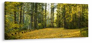 Kép - erdő ősszel (120x50 cm)